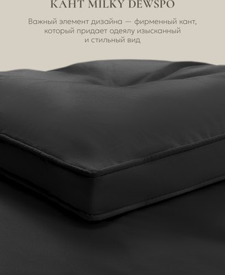 Одеяло Espera Cloud Graphite / ЕС-5889 (200x220)