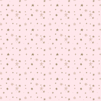 

Бумага для оформления подарков Meshu, Stars / М100_41098