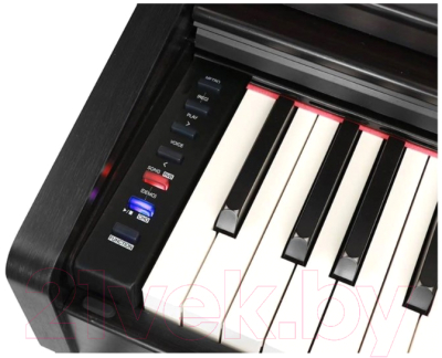 Цифровое фортепиано Medeli DP260