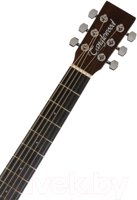 Акустическая гитара Tanglewood TWCR D Dreadnought Whiskey Barrel Satin