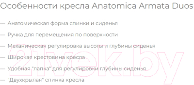 Парта+стул Anatomica Study-100 Lux Armata Duos с органайзером (белый/голубой/голубой)