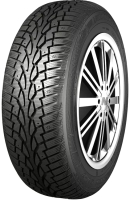 Зимняя шина Nankang SW7 165/70R13 83T (шипы) - 