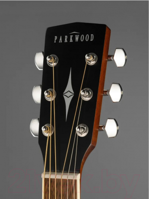 Акустическая гитара Parkwood PF51-WBAG-OP