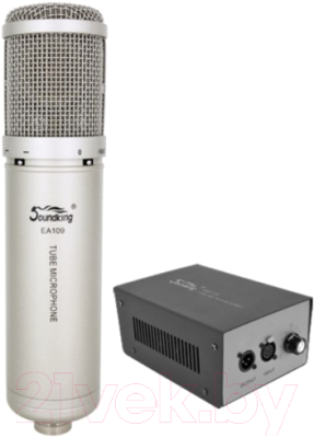 Микрофон Soundking EA109