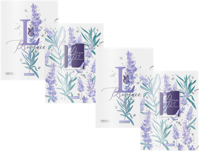 Набор папок Erich Krause Lavender / 55106 (4шт, ассорти) -