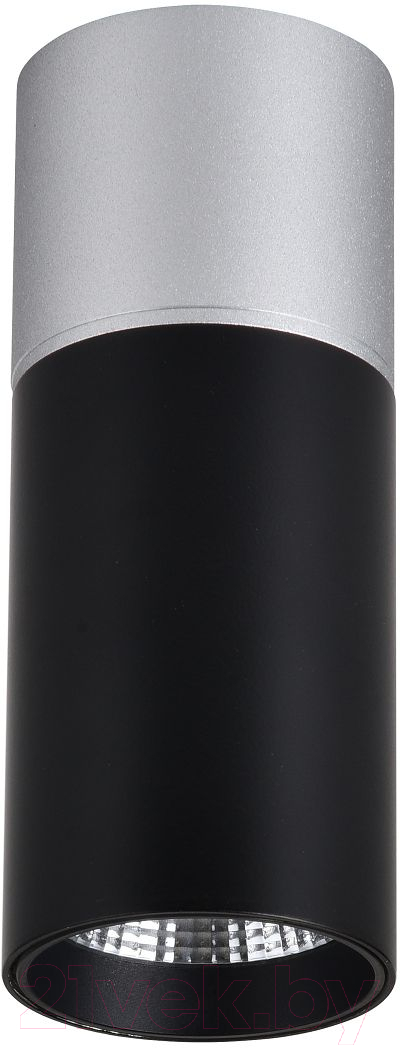 Потолочный светильник FAVOURITE 3072-1C