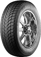 

Зимняя шина, Antarctica 5 195/60R15 88H