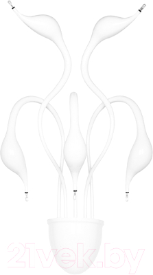 

Бра Lightstar, Cigno Collo 751656