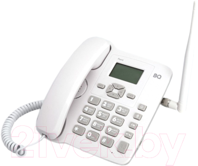 Проводной телефон BQ Point BQ-2410 (белый/серый)