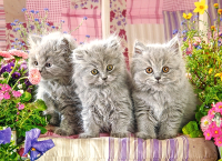 Пазл Castorland Три котенка / B-030330 (300эл) - 
