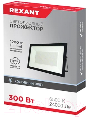Прожектор Rexant LED 6500 K / 605-030