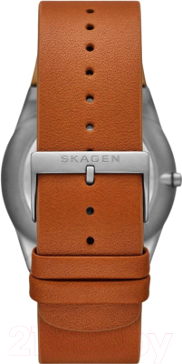 Часы наручные мужские Skagen SKW6786