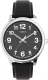 Часы наручные мужские Timex TW2V21400 - 