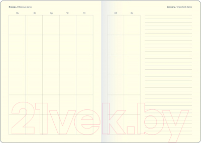 Ежедневник InFolio Maverick / I1205  (черный)