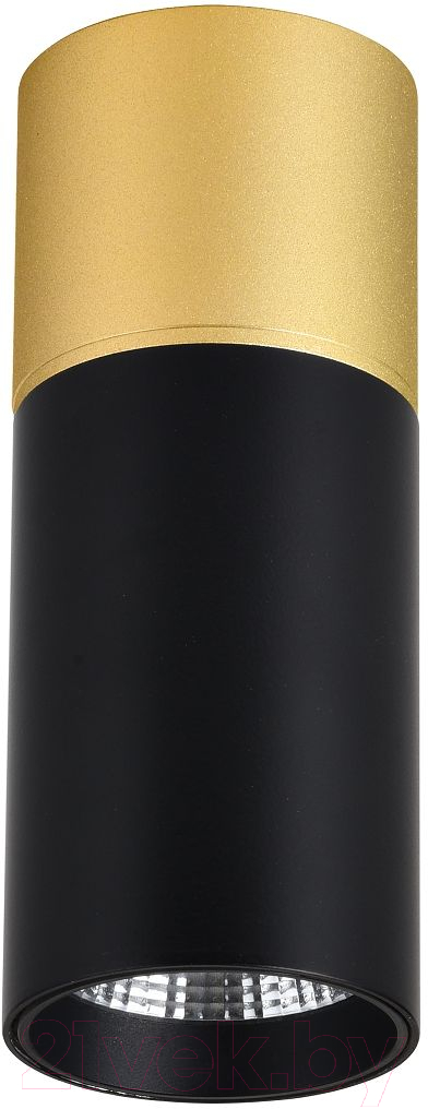 Потолочный светильник FAVOURITE 3074-1C