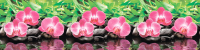 Скиналь Grace Орхидея 3000x600 / ТП10014978 - 