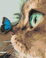 Картина по номерам Hobruk Кошка и бабочка MP0098 - 