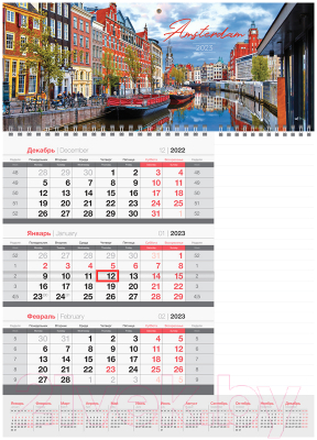Календарь настенный OfficeSpace Mono Amsterdam 2023г / 338104