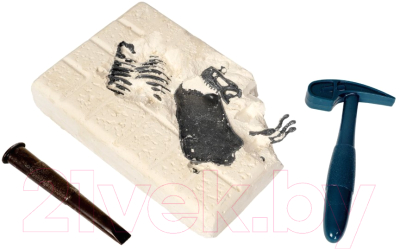 Изображение товара Набор для опытов Bondibon Исторические раскопки. Науки с Буки. Тираннозавр / ВВ5650