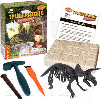 Изображение товара Набор для опытов Bondibon Исторические раскопки. Науки с Буки. Трицератопс / ВВ5649