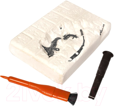 Изображение товара Набор для опытов Bondibon Исторические раскопки. Науки с Буки. Трицератопс / ВВ5649