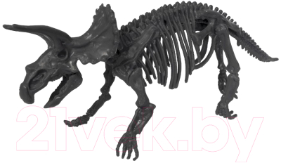 Изображение товара Набор для опытов Bondibon Исторические раскопки. Науки с Буки. Трицератопс / ВВ5649