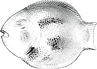 Блюдо Pasabahce Марин 10258/105301