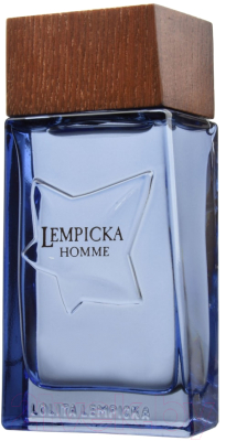 Туалетная вода Lolita Lempicka Lempicka Homme (100мл)