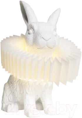 Декоративное освещение Loftit Bunny10117/C