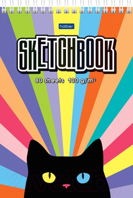 Скетчбук Hatber Premium SketchBook Радужный кот / 80Б5Aгр_28307 (80л)