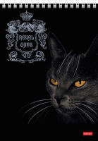 

Блокнот Hatber, Royal Cats / 80Б5лофВ1гр