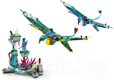 Конструктор Lego Avatar Первый полет Джейка и Нейтири на Баншах 75572
