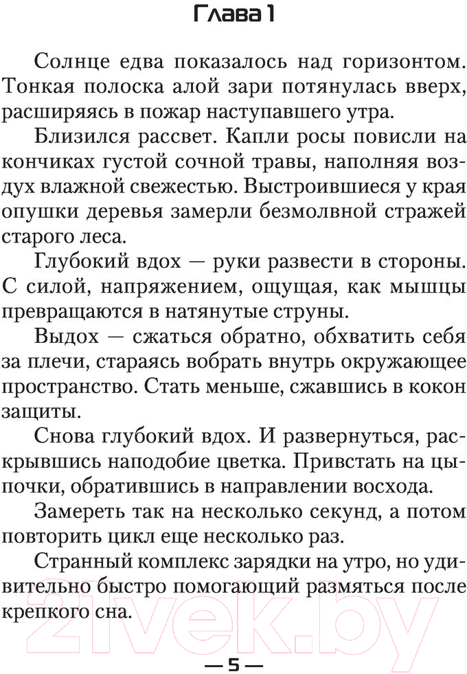 Художественная книга АСТ Замок Алхимика (Каменев А.) — фото 5