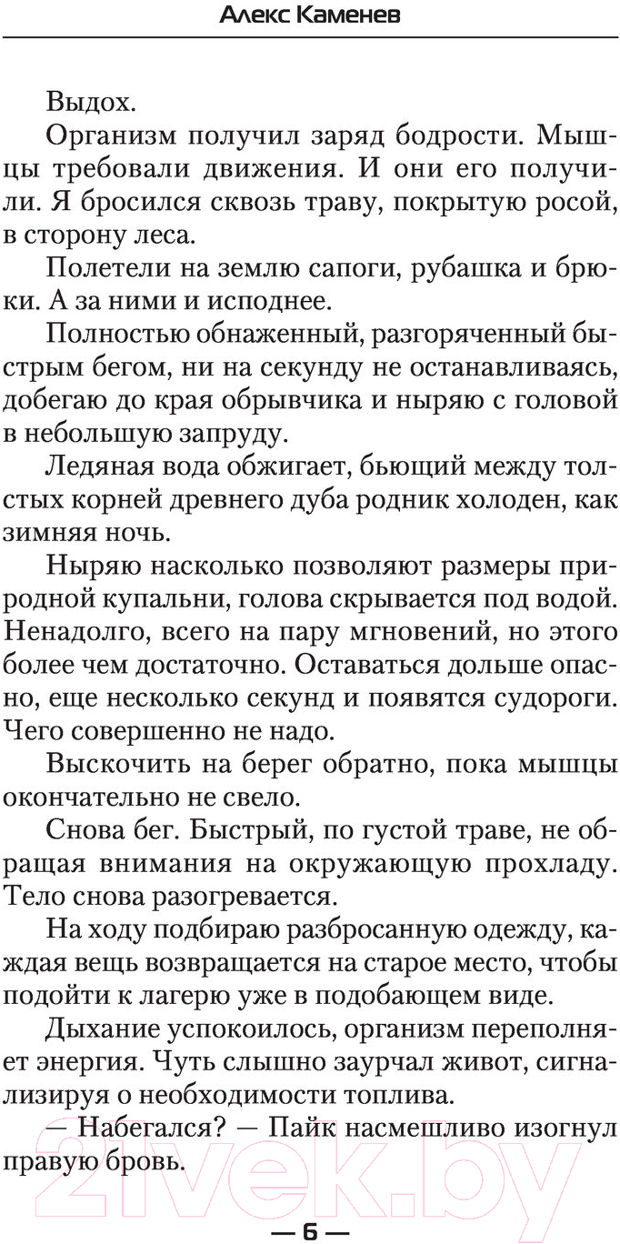Художественная книга АСТ Замок Алхимика (Каменев А.) — фото 6