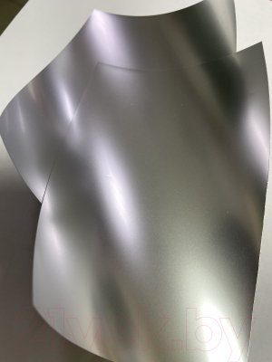 Пленка для печати ProfiColor Silver Matte A4 125 г/м2 / BN05433 (20л)