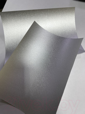 Пленка для печати ProfiColor Silver Sandy A4 125 г/м2 / BN05436 (20л)