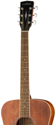 Акустическая гитара Parkwood PF51M-WBAG-OP (с чехлом)