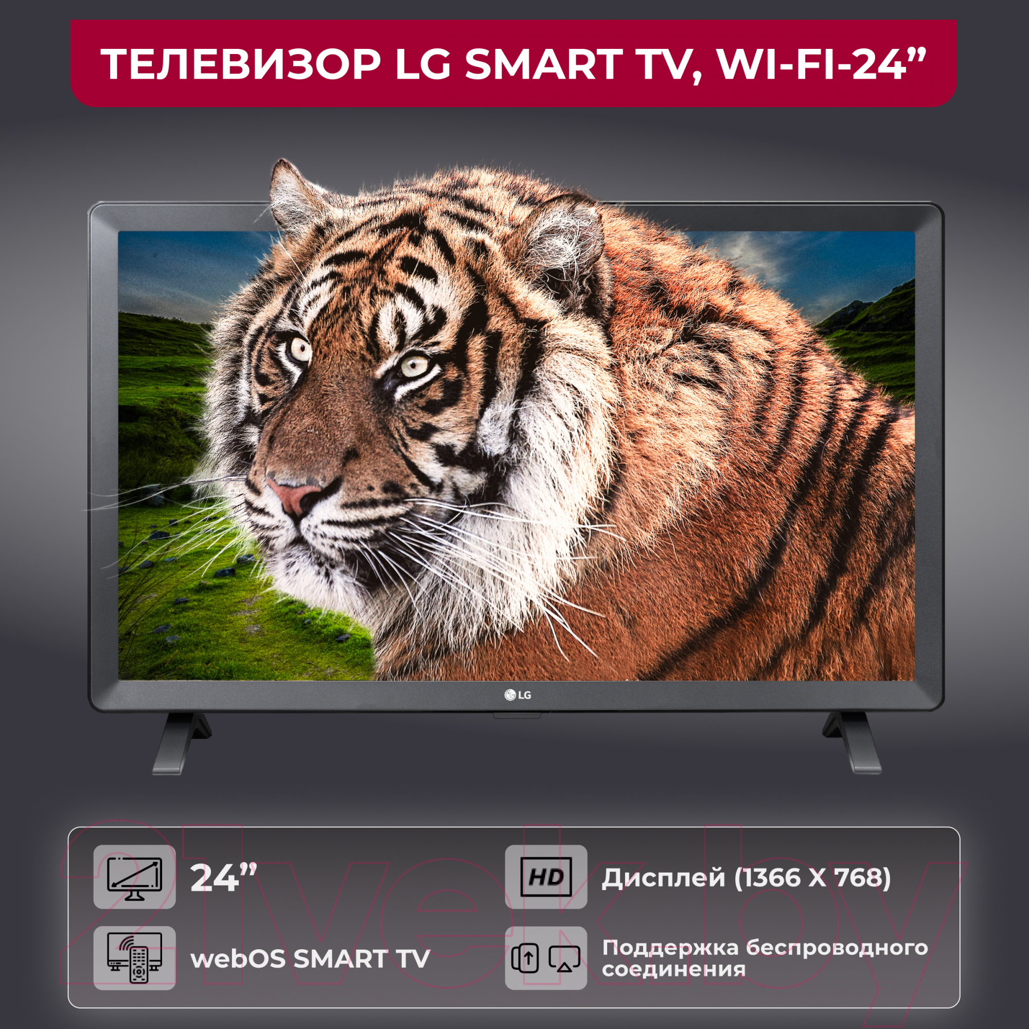 Телевизор LG 24TQ520S-PZ