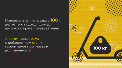 Ricos Impulse 200H (зеленый) Самокат городской купить в Минске, Гомеле ...