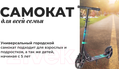 Ricos Impulse 200H (зеленый) Самокат городской купить в Минске, Гомеле ...
