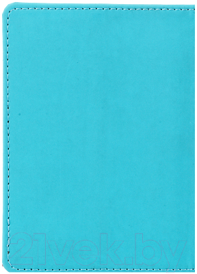 Обложка на паспорт OfficeSpace Journey / 311107 (бирюзовый)