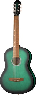 

Акустическая гитара, M-313-GR