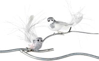 Елочная игрушка Goodwill Xmas 2022 Птица белая с серебром / MC 40205 - 