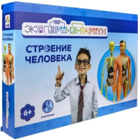 

Набор для опытов 1Toy, Экспериментариум Модель человеческого тела / Т21875
