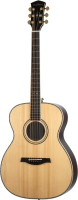 Акустическая гитара Parkwood P820ADK-WCASE-NAT (с футляром) - 