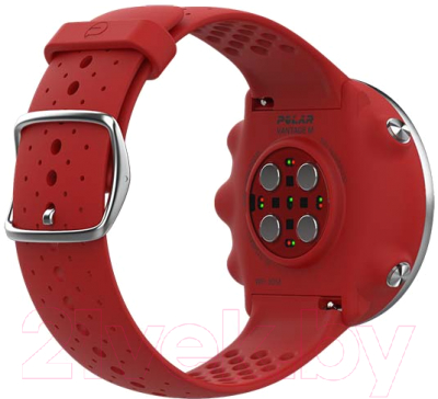 Умные часы Polar Vantage M (M/L, красный)