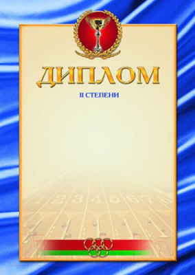 Изображение товара Диплом Брестская типография Спортивный 2 степени / С52