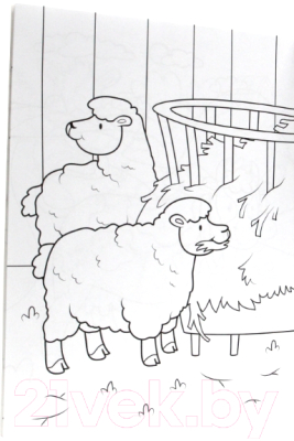 Изображение товара Раскраска Проф-Пресс Супер-пупер. Домашние животные