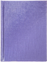 Записная книжка Hatber Metallic / 64ЗКт6В5 (64л, фиолетовый) - 