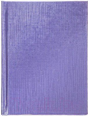 Записная книжка Hatber Metallic / 64ЗКт6В5 (64л, фиолетовый)